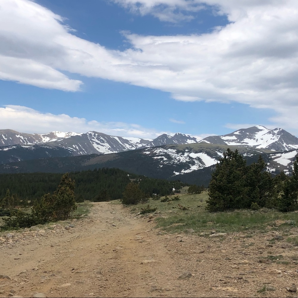 Meet your Posher, Alexandra